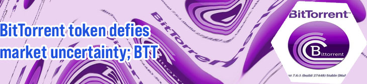 Bit torrent stock