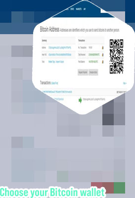 Bitcoin address lookup
