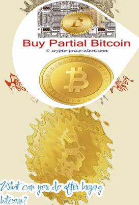 Can you buy partial bitcoin