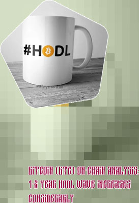 Hodl bitcoin