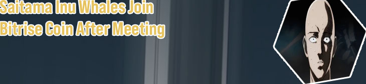 Saitama on cryptocom